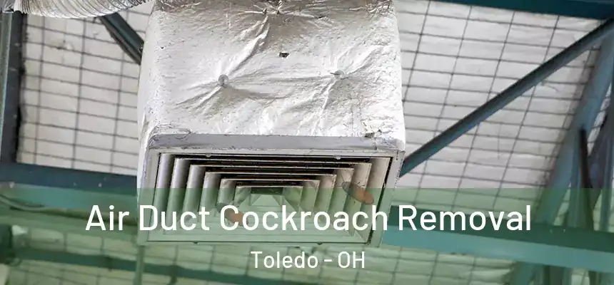  Air Duct Cockroach Removal Toledo - OH