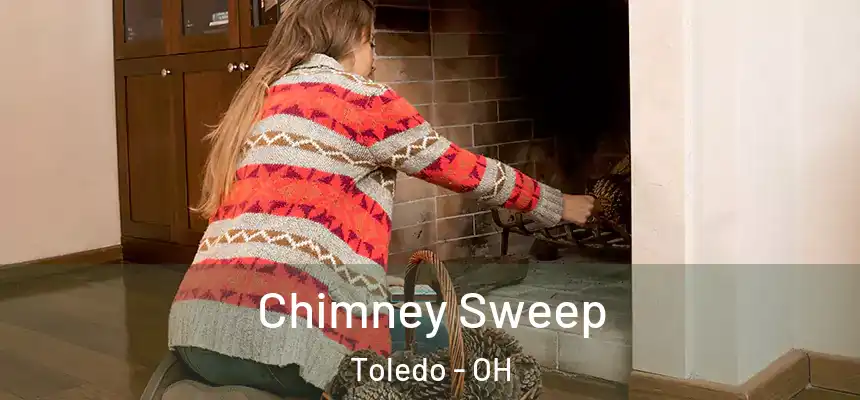  Chimney Sweep Toledo - OH