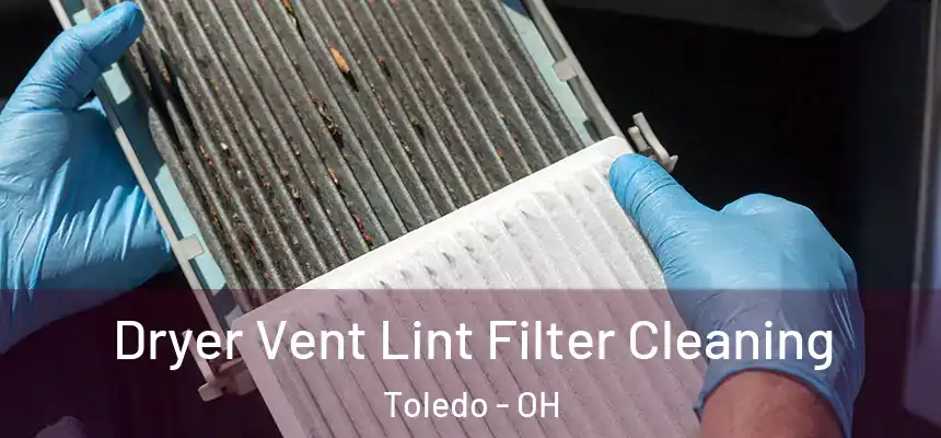  Dryer Vent Lint Filter Cleaning Toledo - OH
