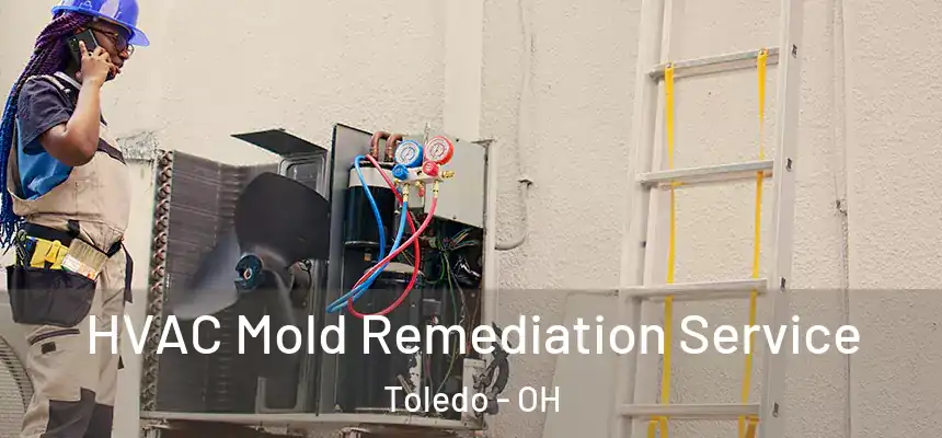  HVAC Mold Remediation Service Toledo - OH