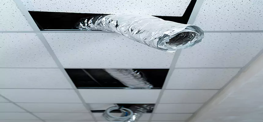 Affordable HVAC Sanitizing After Pest Removal in Toledo