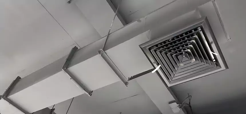 Our Rodent Droppings In Vents Services in Toledo, OH