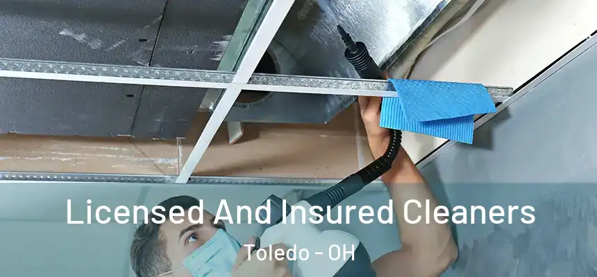 Licensed And Insured Cleaners Toledo - OH