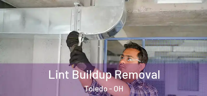  Lint Buildup Removal Toledo - OH