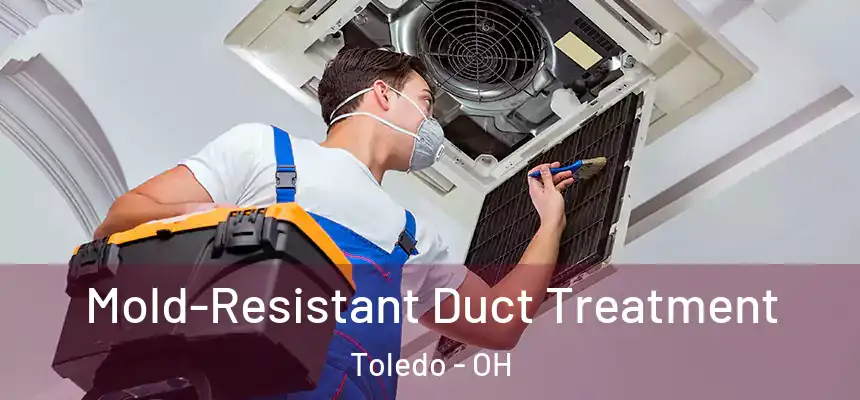Mold-Resistant Duct Treatment Toledo - OH