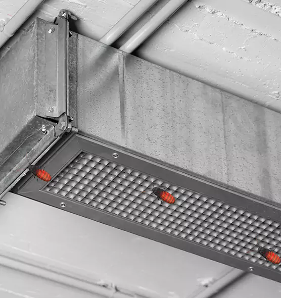 About Air Duct Cockroach Removal in Toledo, OH
