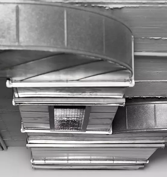 Professional Air Duct Pest Removal in Toledo, OH