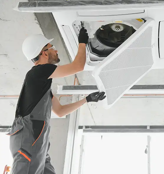 About Air Duct Rodent Removal in Toledo, OH